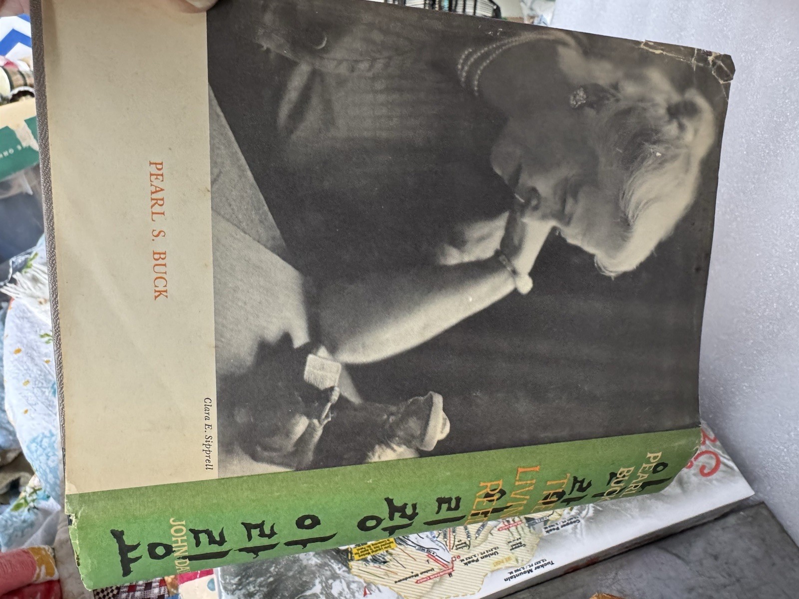 Vintage The Living Reed by Pearl S. Buck 1963 HC DJ Book Club Ed