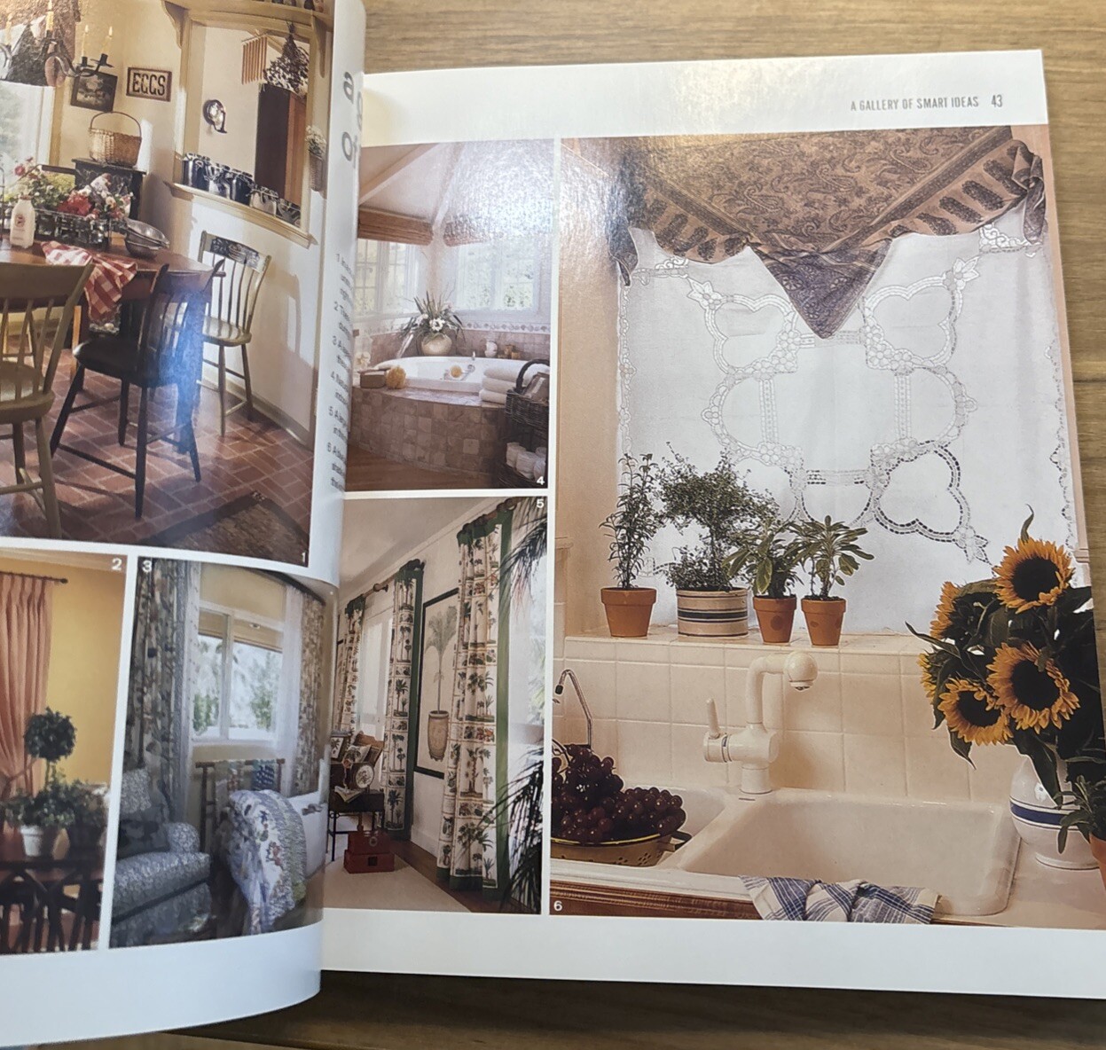 New Smart Approach to Window Decor by Lisa Lent and Lynn Elliott (2004, Trade…
