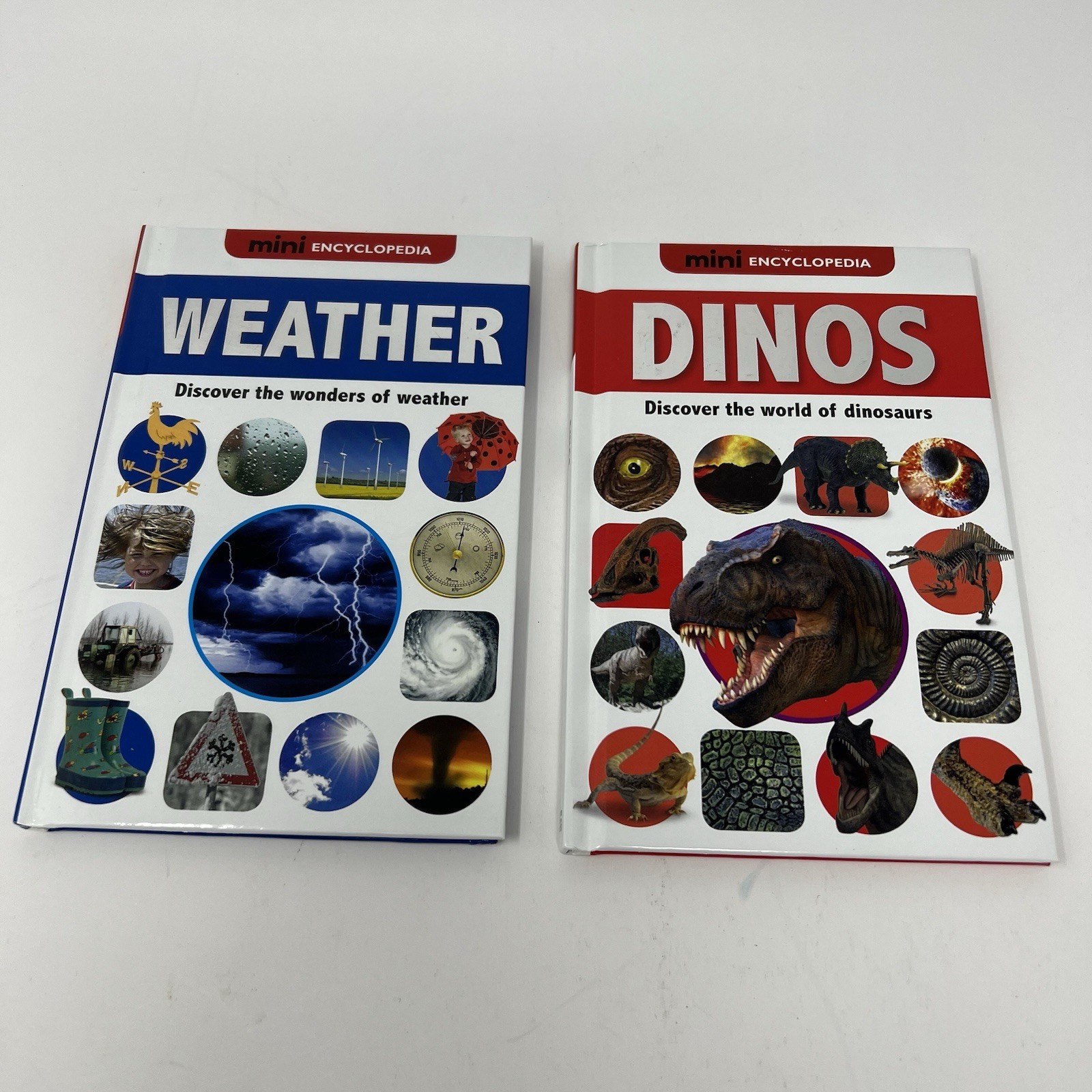 Children’s Mini Encyclopedia Lot of 2 Weather Dino’s New