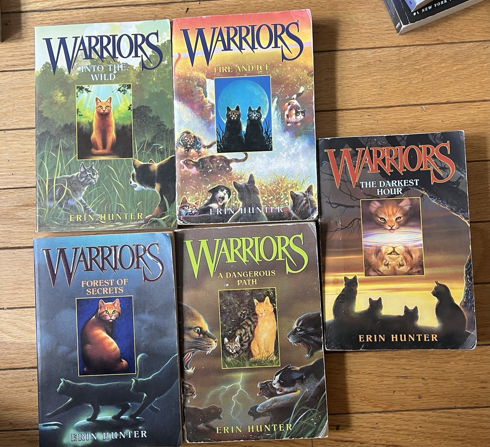 Lot of 5 Warriors books by Erin Hunter. Paperback. Fiction. #1.2,3,5,6