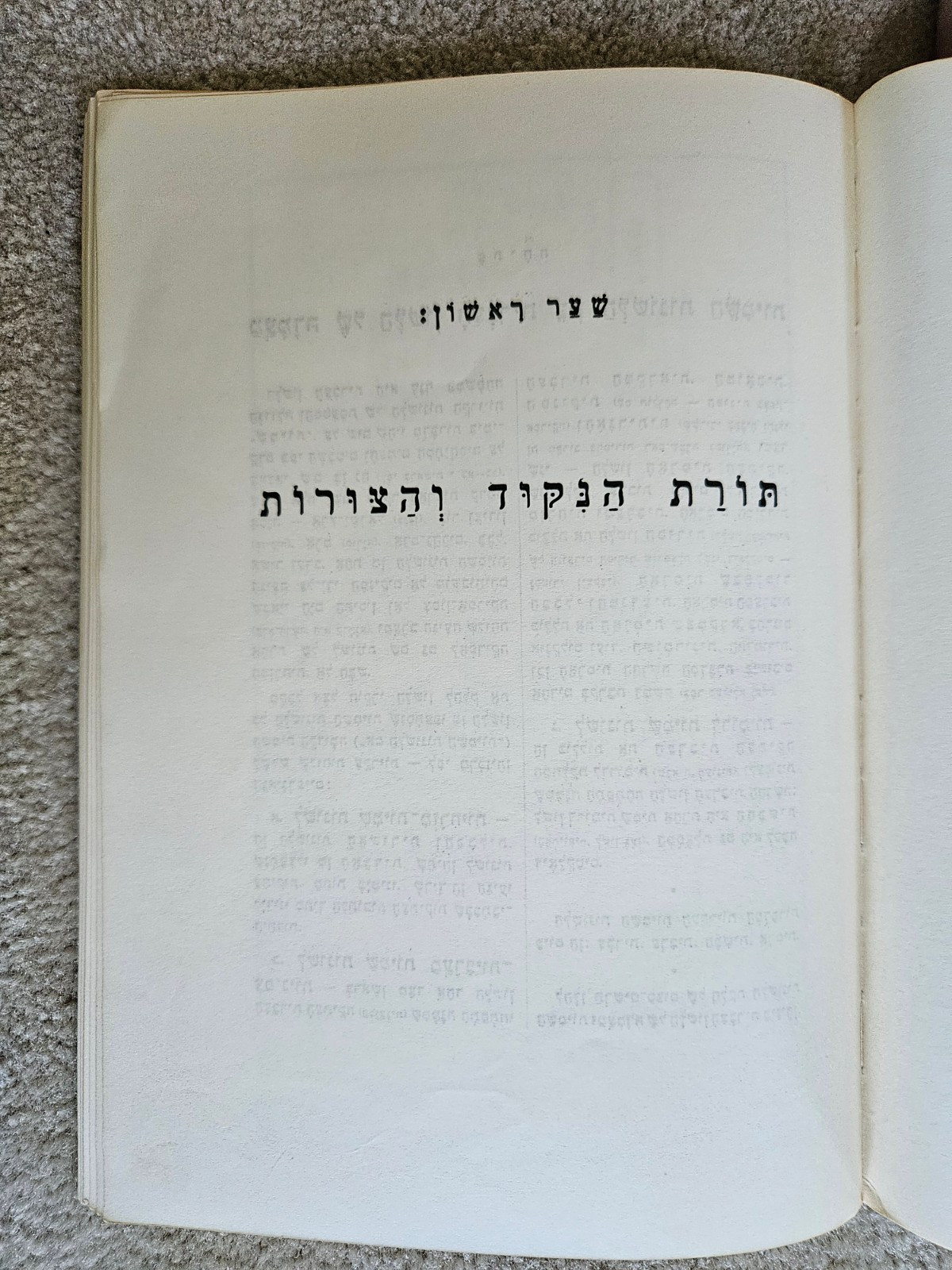 Hebrew Grammar Summary in Hebrew (Paperback, 1965)