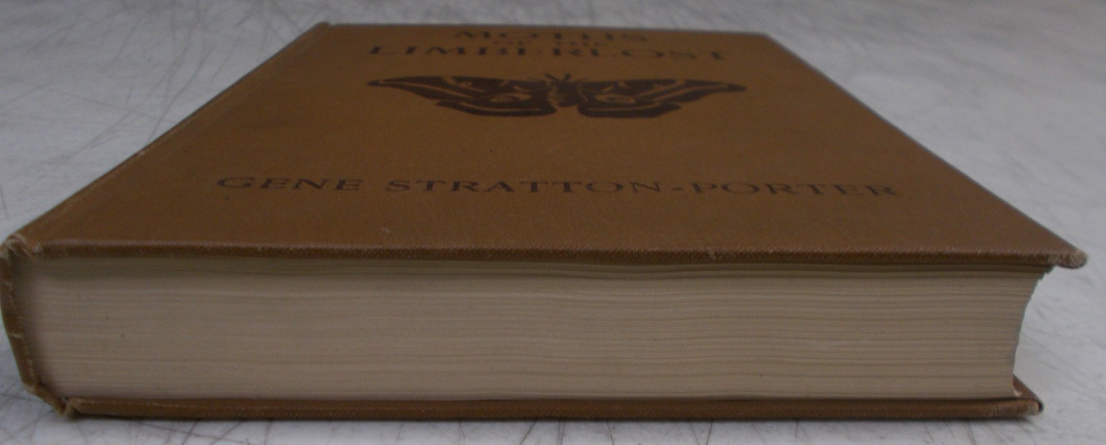Antique-Moths of the Limberlost by Gene Stratton-Porter, 1921, VGC