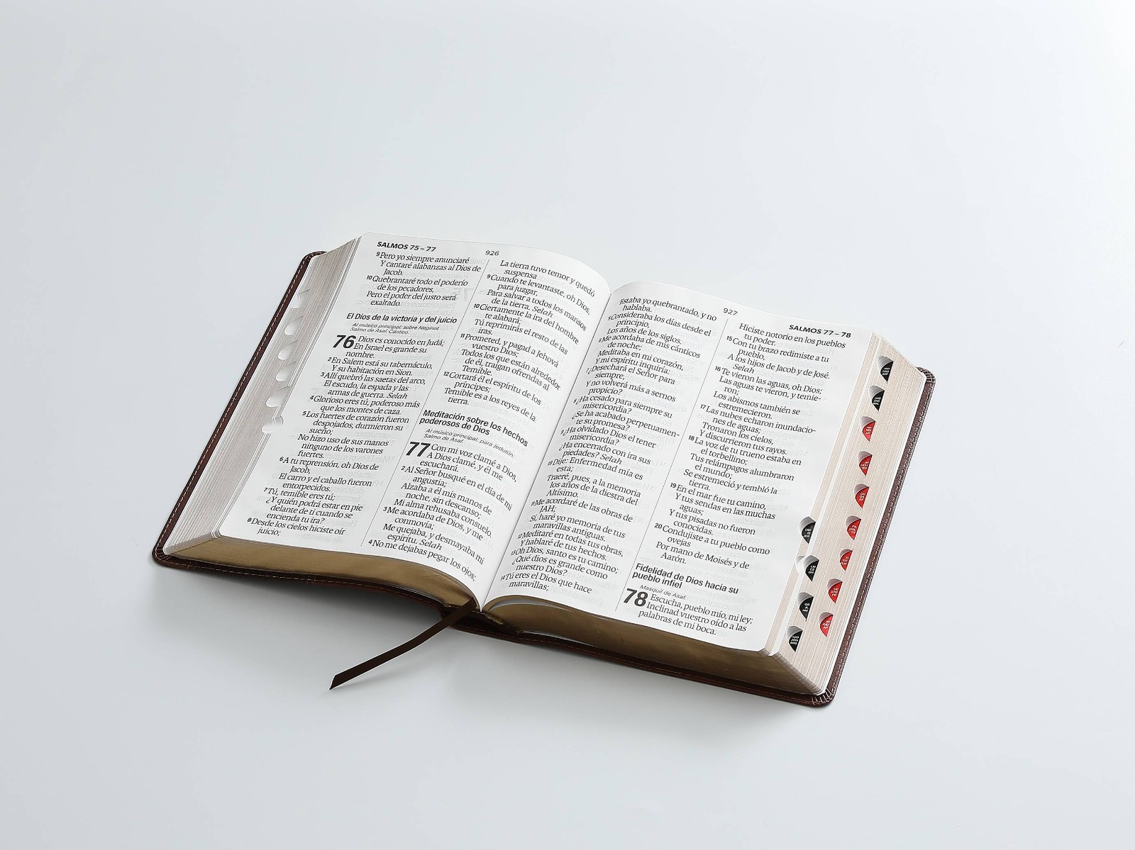 Biblia Letra Súper Gigante 19 puntos RV1960, imit piel café geométrico Con Índic