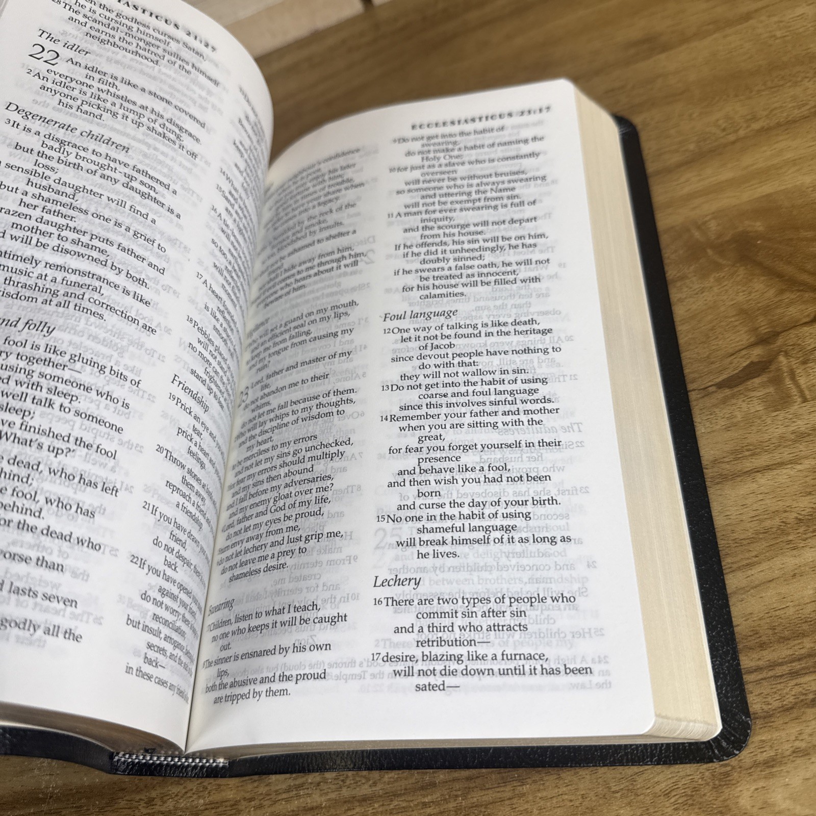 New Jerusalem Bible: Leather Edition Slipcase – Henry Wansbrough Catholic 1999