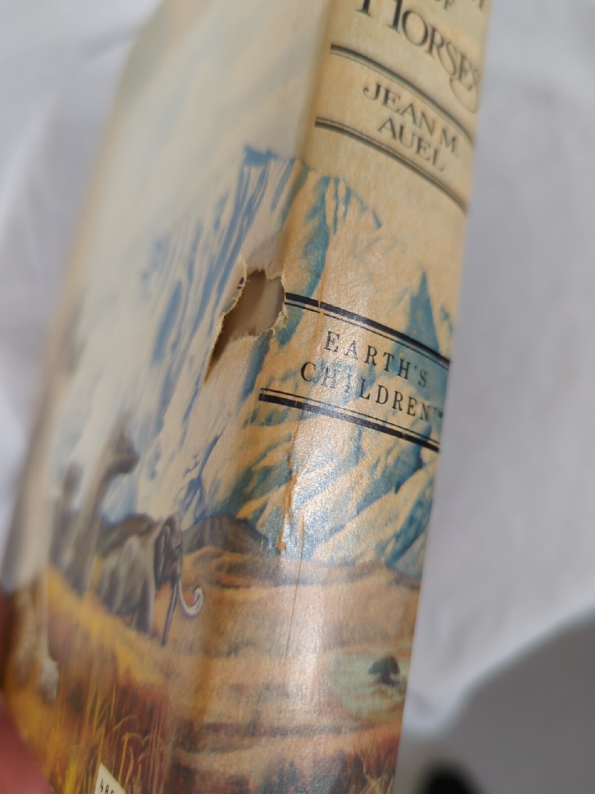 Earth’s Children Ser.: The Valley of Horses by Jean M. Auel (1982, Hardcover)
