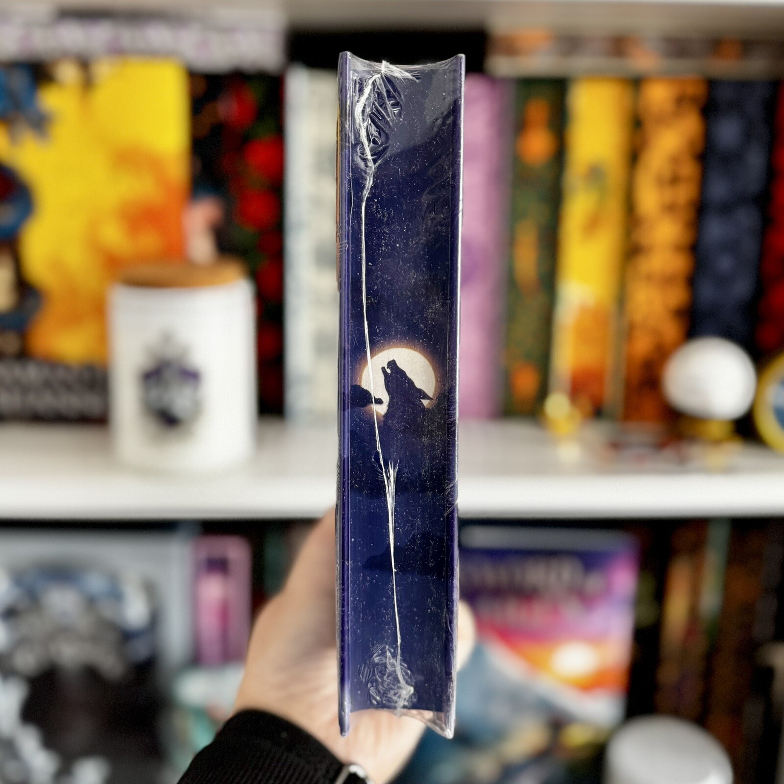 Fan Service by Rosie Danan (Illumicrate/Afterlight Special Edition)