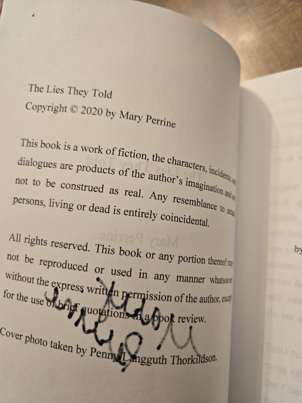 The Lies They Told by Mary Perrine Minnesota Mystery Signed By The Author PB