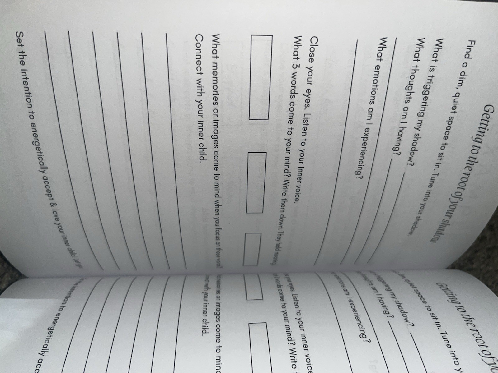 The Shadow Work Journal: a Guide to Integrate and Transcend Your Shadows