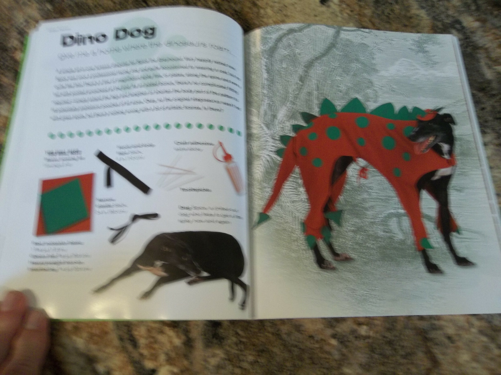 Doggy Fashion by Jenkins, Alison – Fancy Dress and Chic Costumes for The Dog in