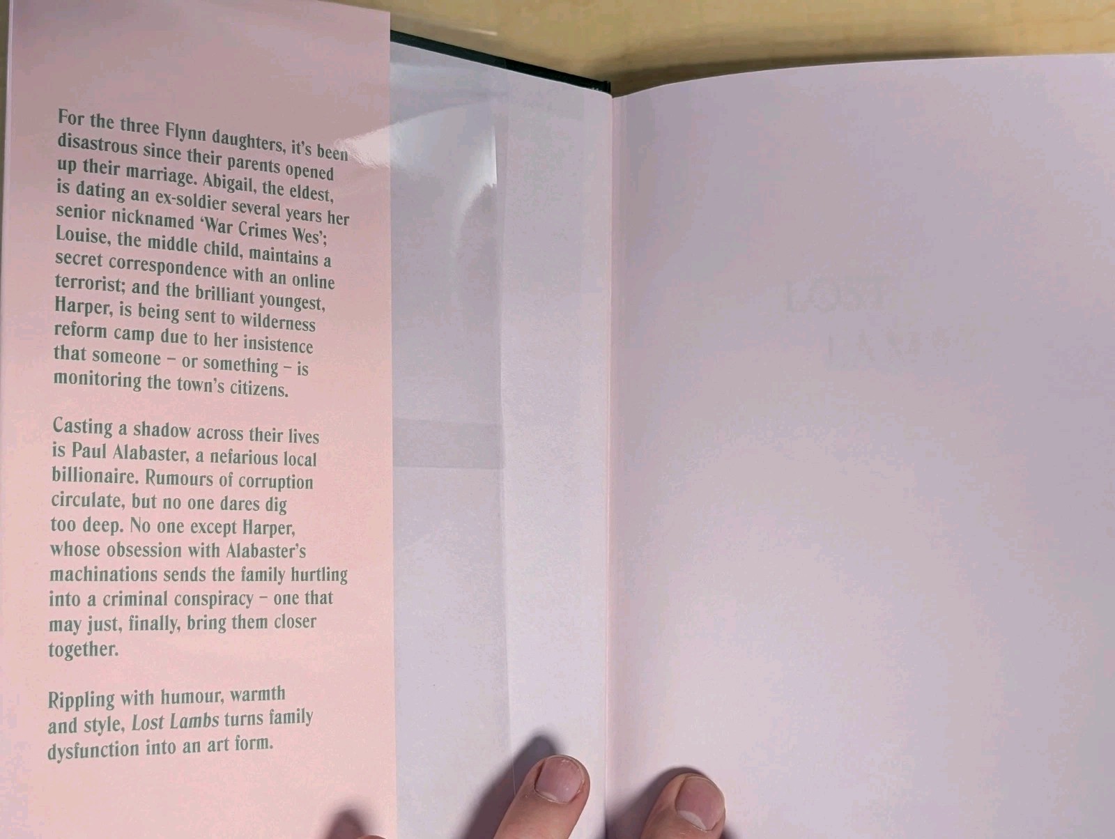 🐑Madeline Cash LOST LAMBS Signed Numbered Fresh Ink Goldsboro Doubleday Ed