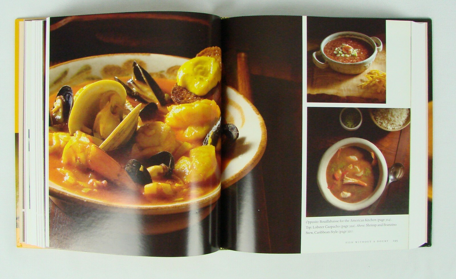 Cook’s Essential Companion ~ „Fish Without Doubt“ ~ 2003 HB ~ 496 pages like new