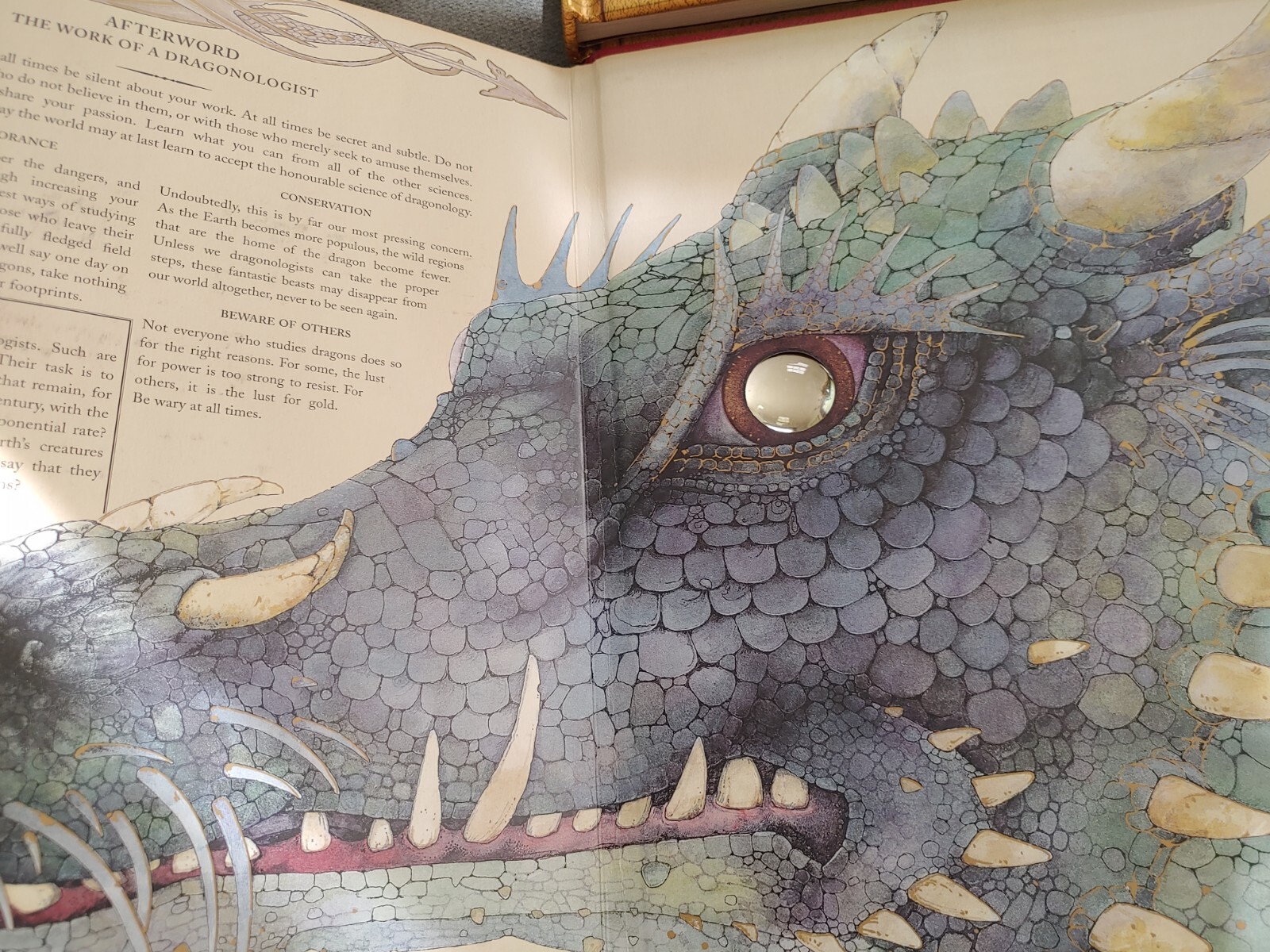 Ologies Ser.: Dragonology : The Complete Book of Dragons by Ernest Drake (2003,