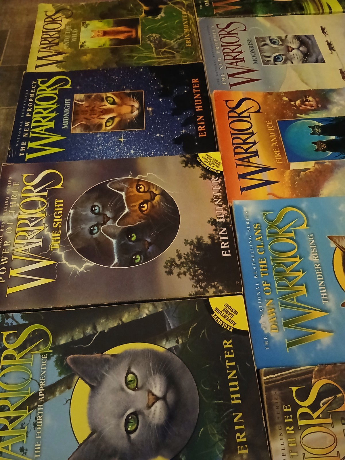 13 peace WARRIOS ERIN HUNTER Books ,