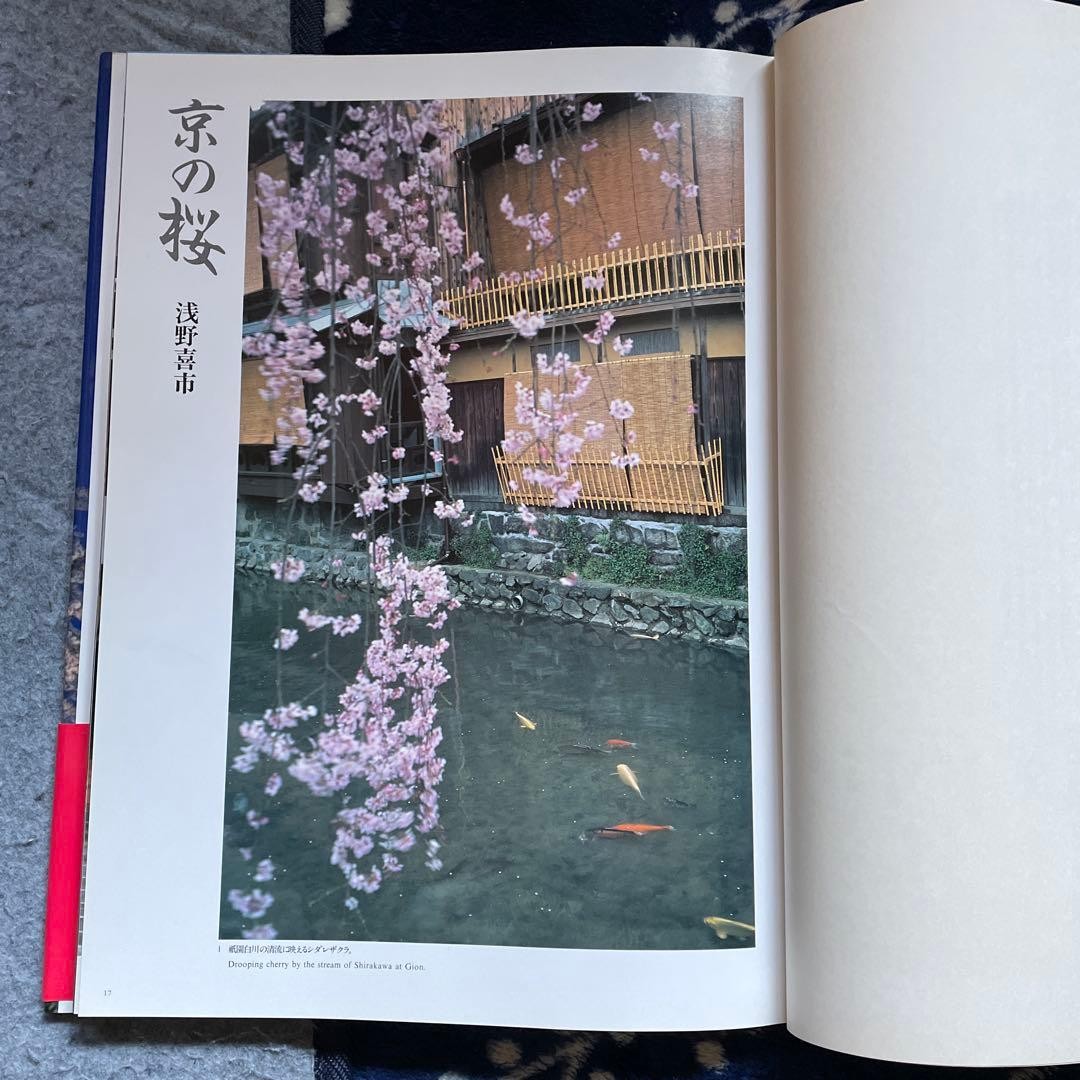 Japanese Cherry Blossoms Hardcover Book | Wide版 152 pages 7.4 x 10.3 in