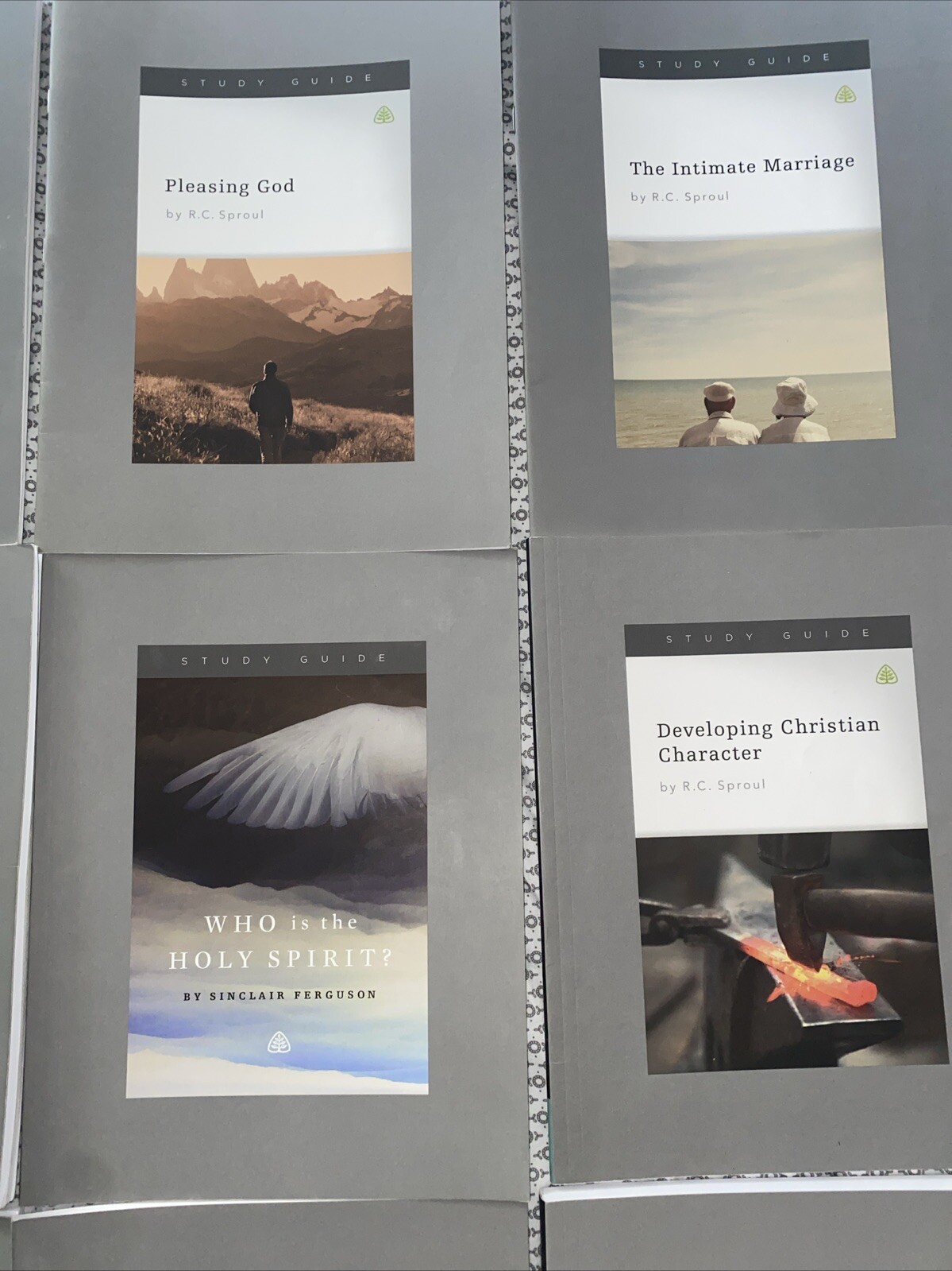 Massive Lot Teaching Series Study Guides by Ligonier Ministries