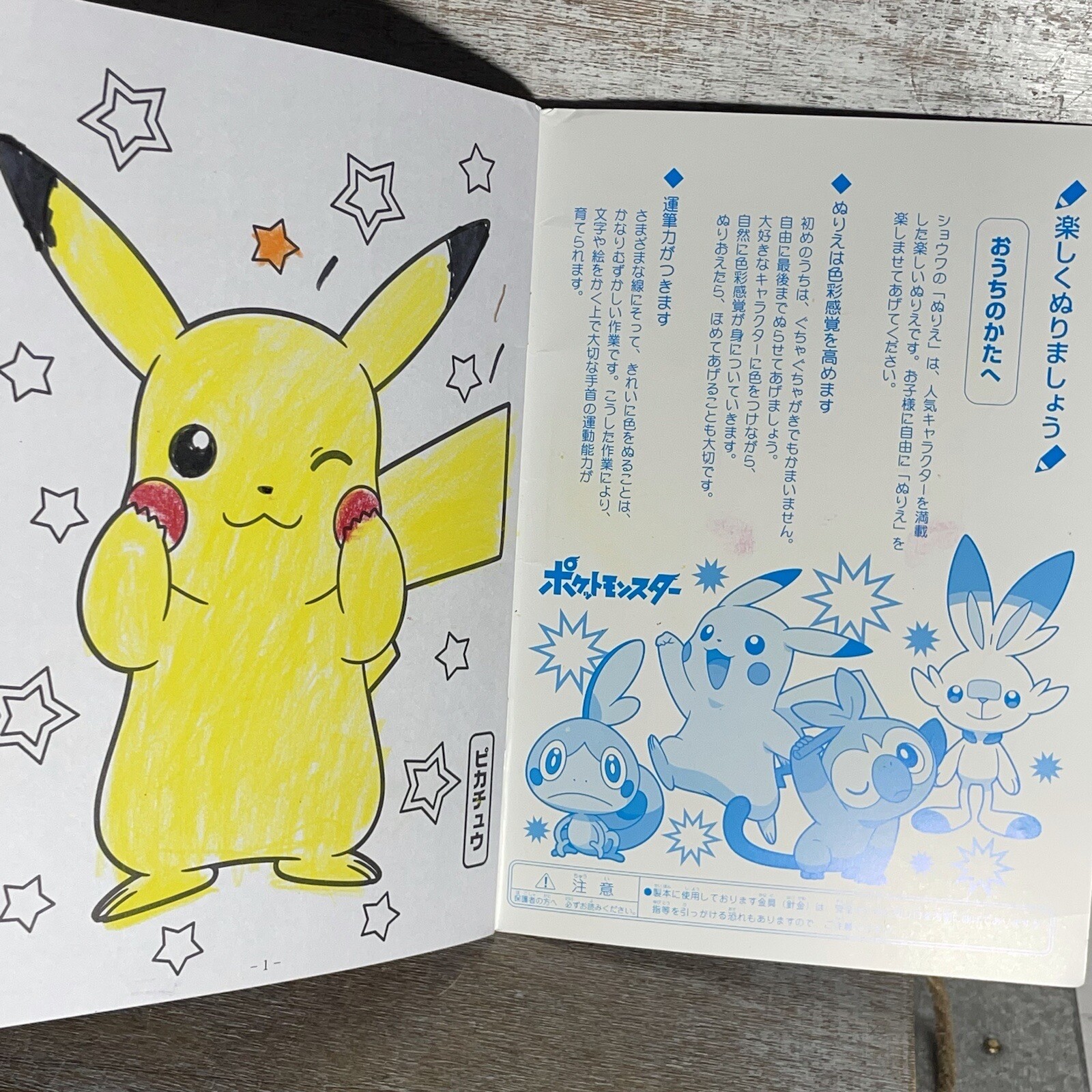 Lot of 2 Nintendo Pokemon Coloring Books Japan 32 Pages PLEASE READ BELOW