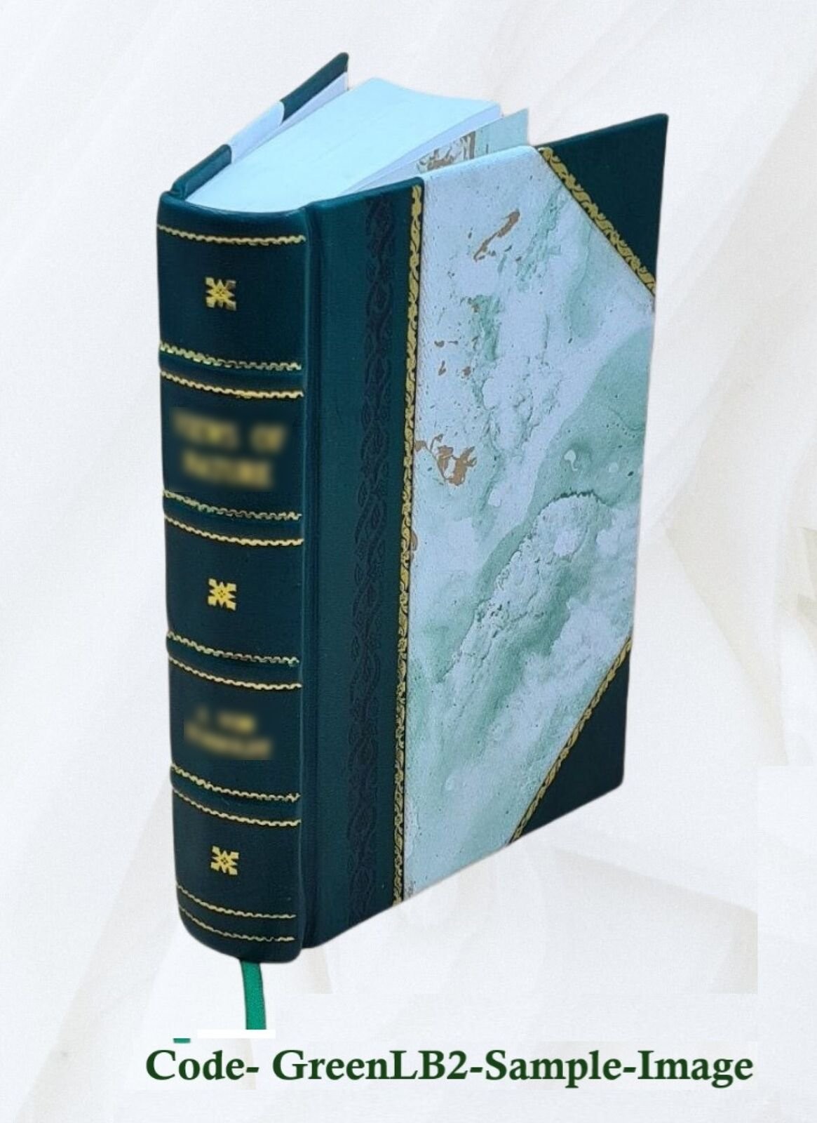 The Secret Of Light 1818 [Leather Bound] By Walter Russell