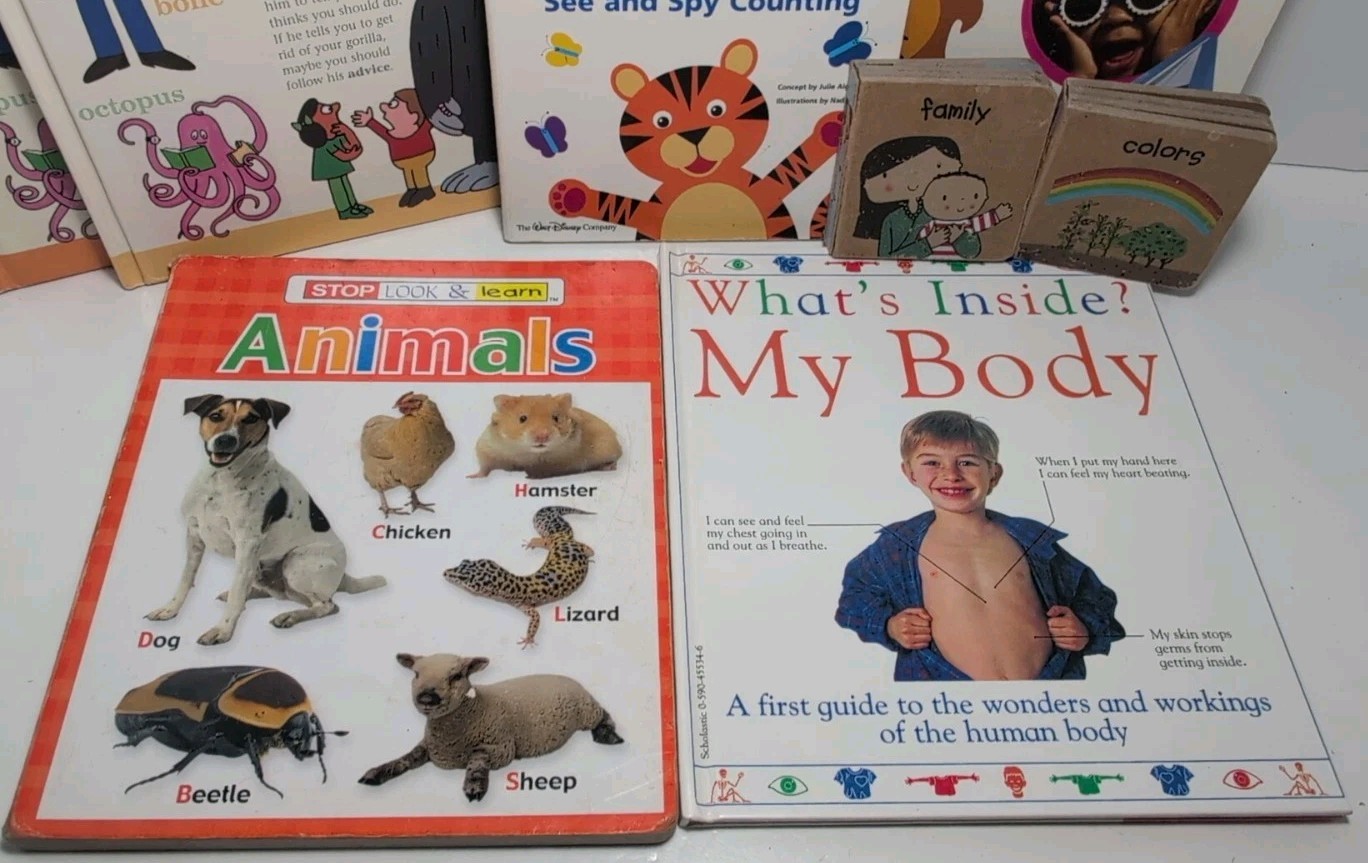 Lot of 8 Children’s Learning Books Kids Toddlers Babies Preschool Daycare