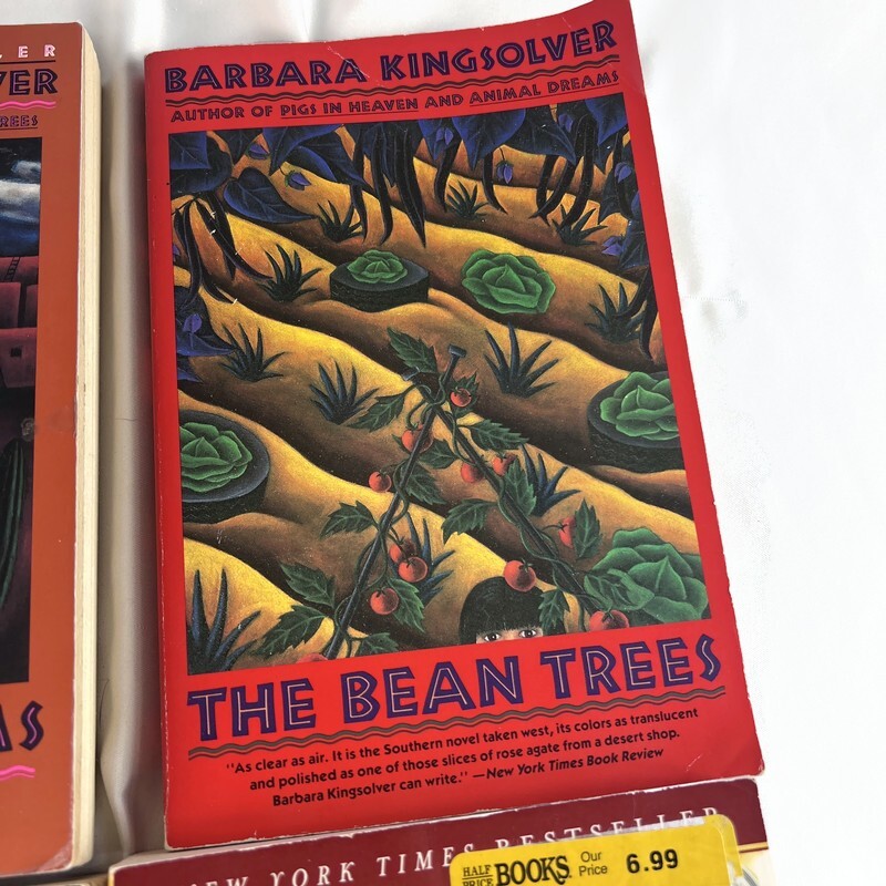 Barbara Kingsolver Book Lot of 4 Animal Dreams Bean Trees Lacuna Pigs in Heaven