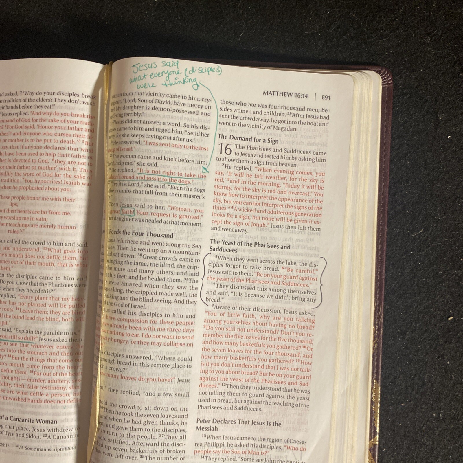 Niv Flora and Fauna Collection Bible by Zondervan Staff (2012, Leather)