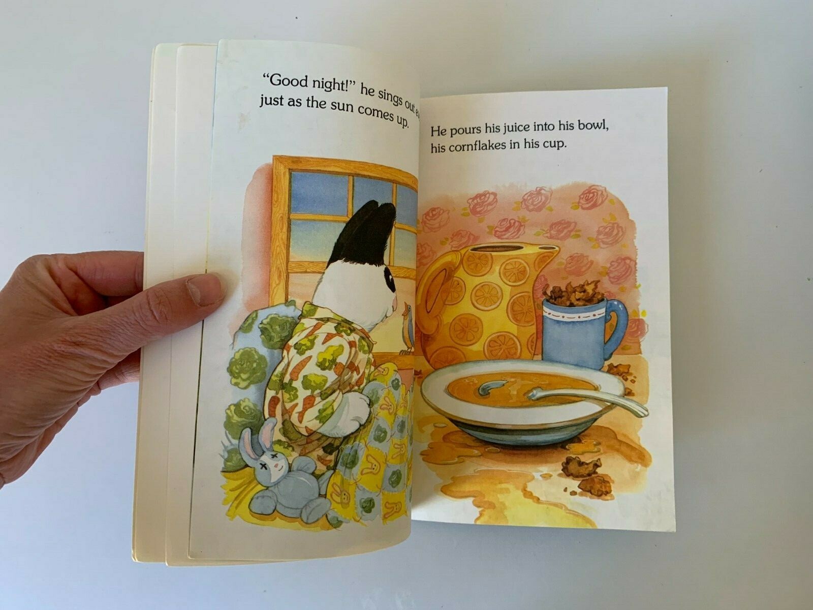 The Wrong-Way Rabbit (Hello Reader Level 2) by Teddy Slater (PB 1993) book