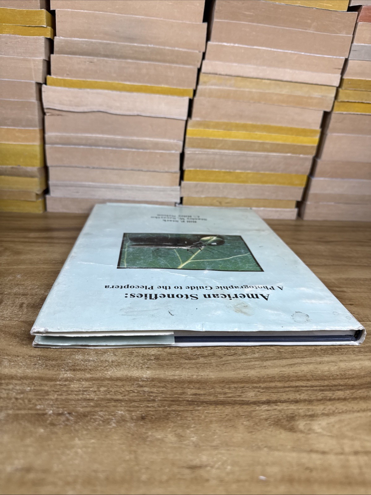 American stoneflies: A photographic guide to the Plecoptera by Bill P. Stark