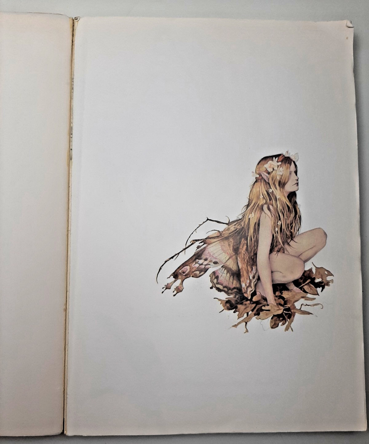 Vintage Faeries Book 1978 First Edition Printing Brian Froud Mythical Fairy Art
