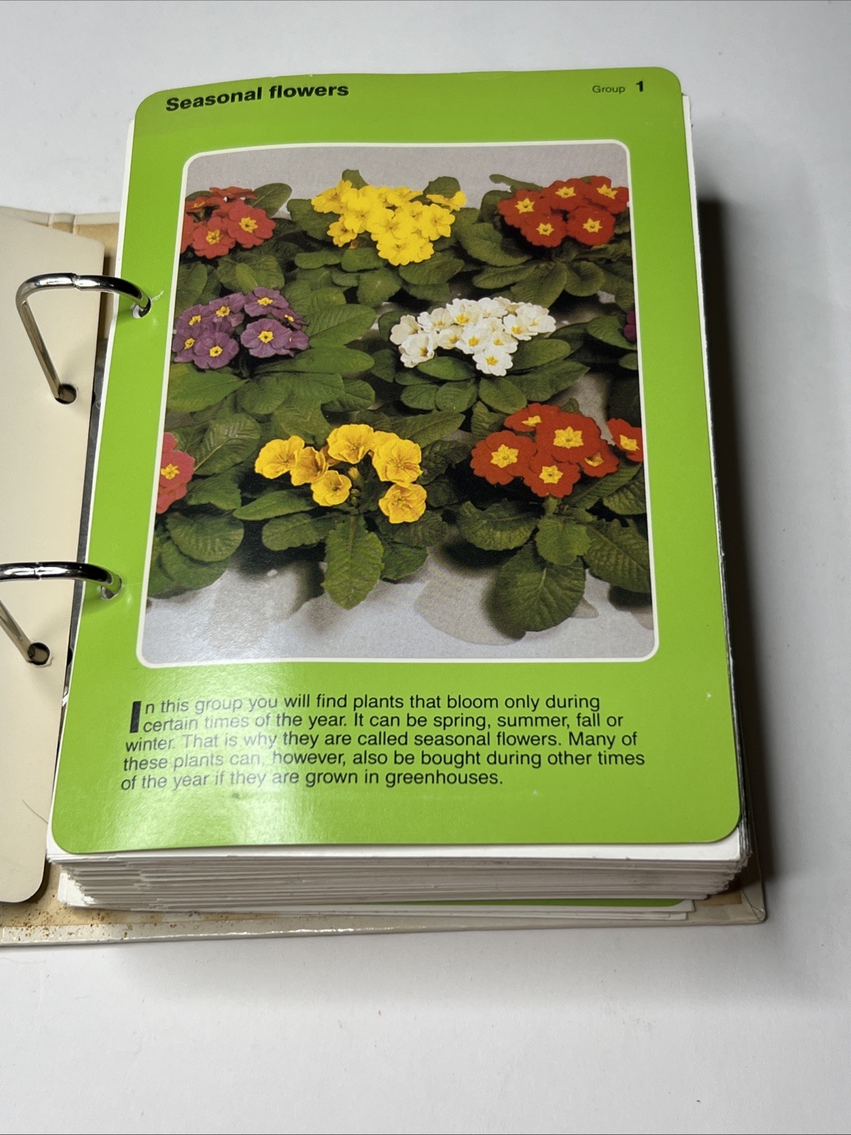 Vintage 1985 Success With House Plants Gardening Hardcover Spiral Binder Book