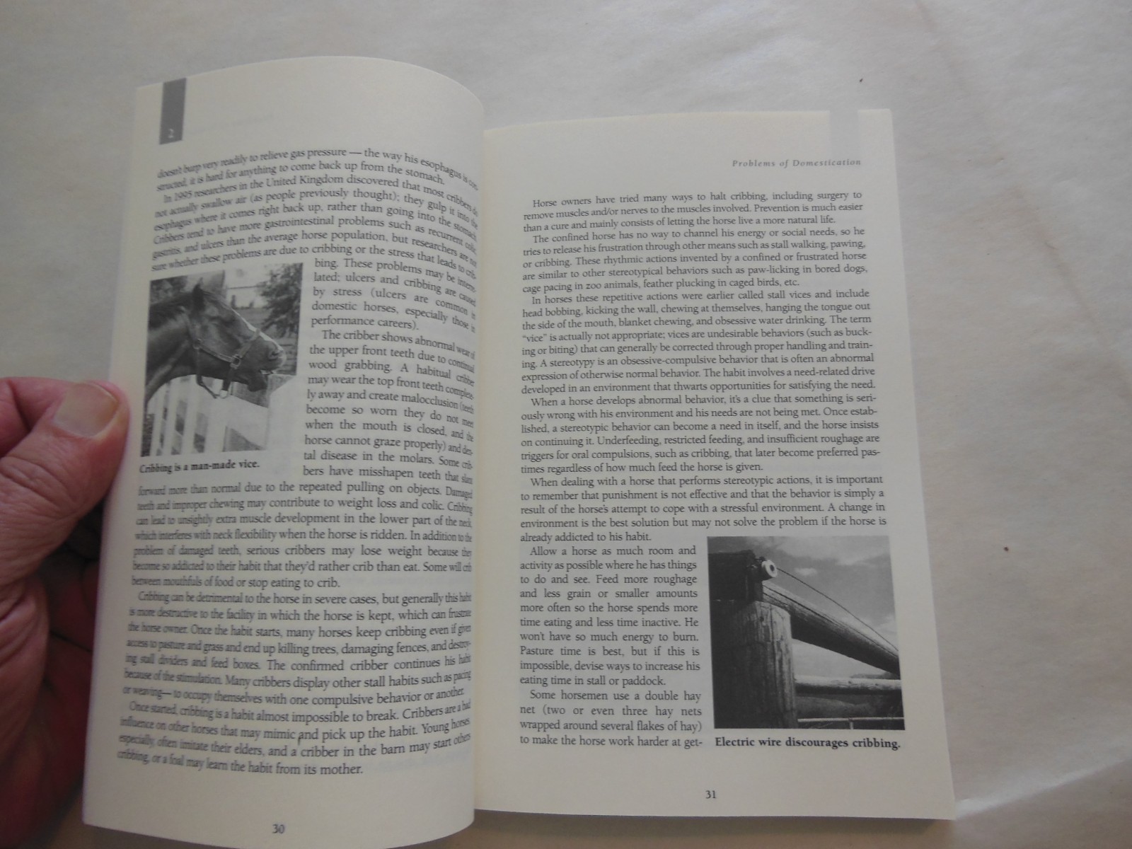 Care and Management of Horses : Care and Management of Horses by Heather…