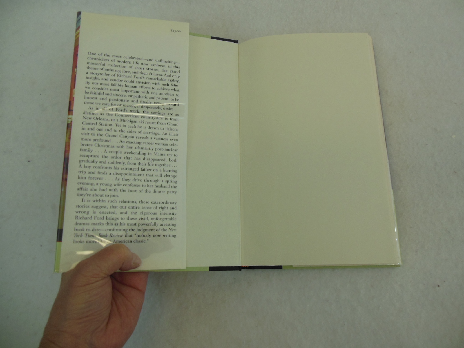 Richard Ford A MULTITUDE OF SINS Alfred A. Knopf FIRST EDITION 2002 HC/DJ