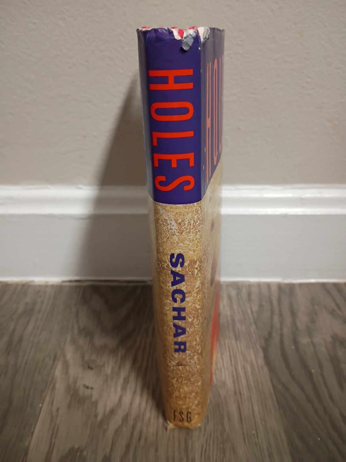 HOLES Louis Sachar 1st Edition 1999 HC/DJ Newbery Medal Winner 9th Print