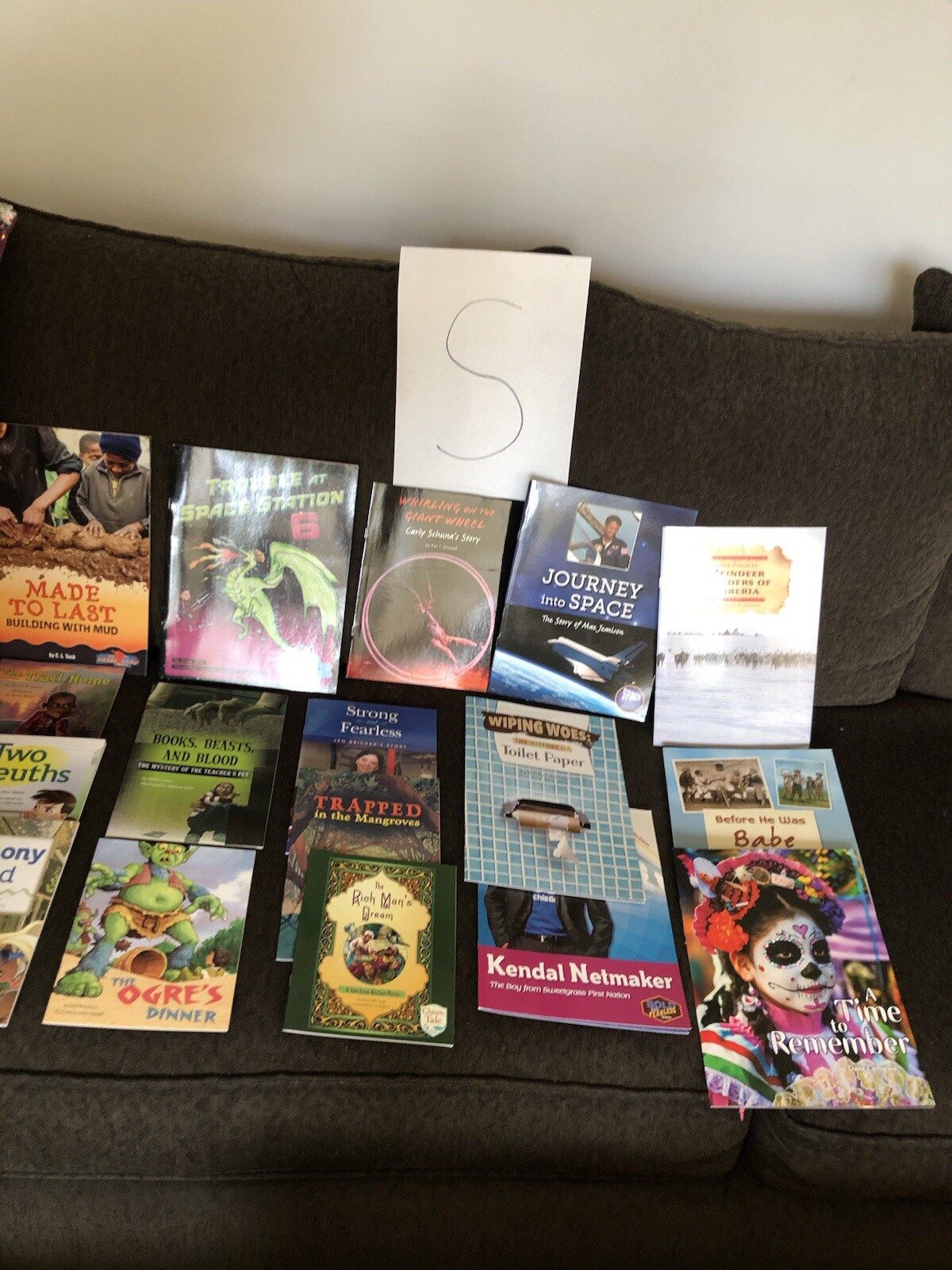 First Grade Reading Books — HOME SCHOOL — Grade 1 Like New 10 Different $15