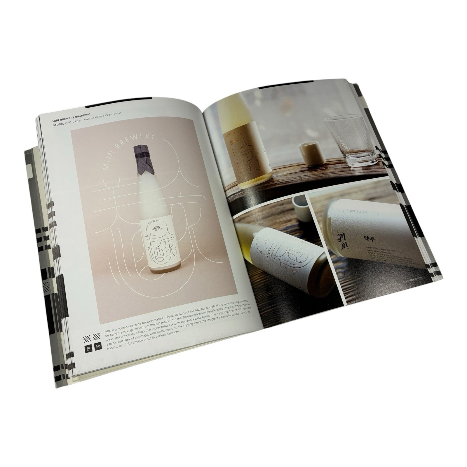 Type Hybrid: Typography in Multilingual Design (Design Origin), Victionary, Good
