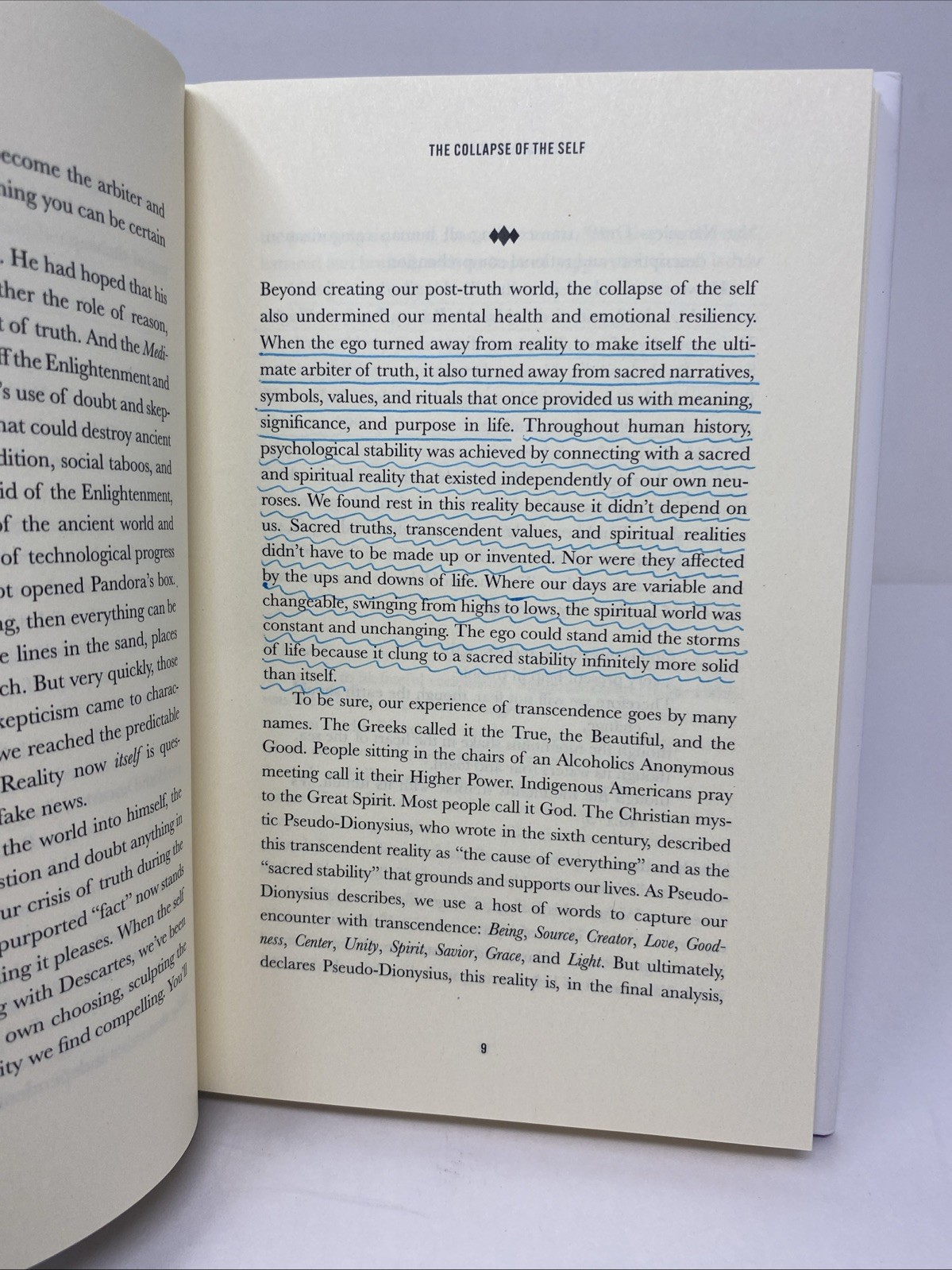 Shape of Joy Richard Beck Hardcover 2024 Spiritual Growth Broadleaf