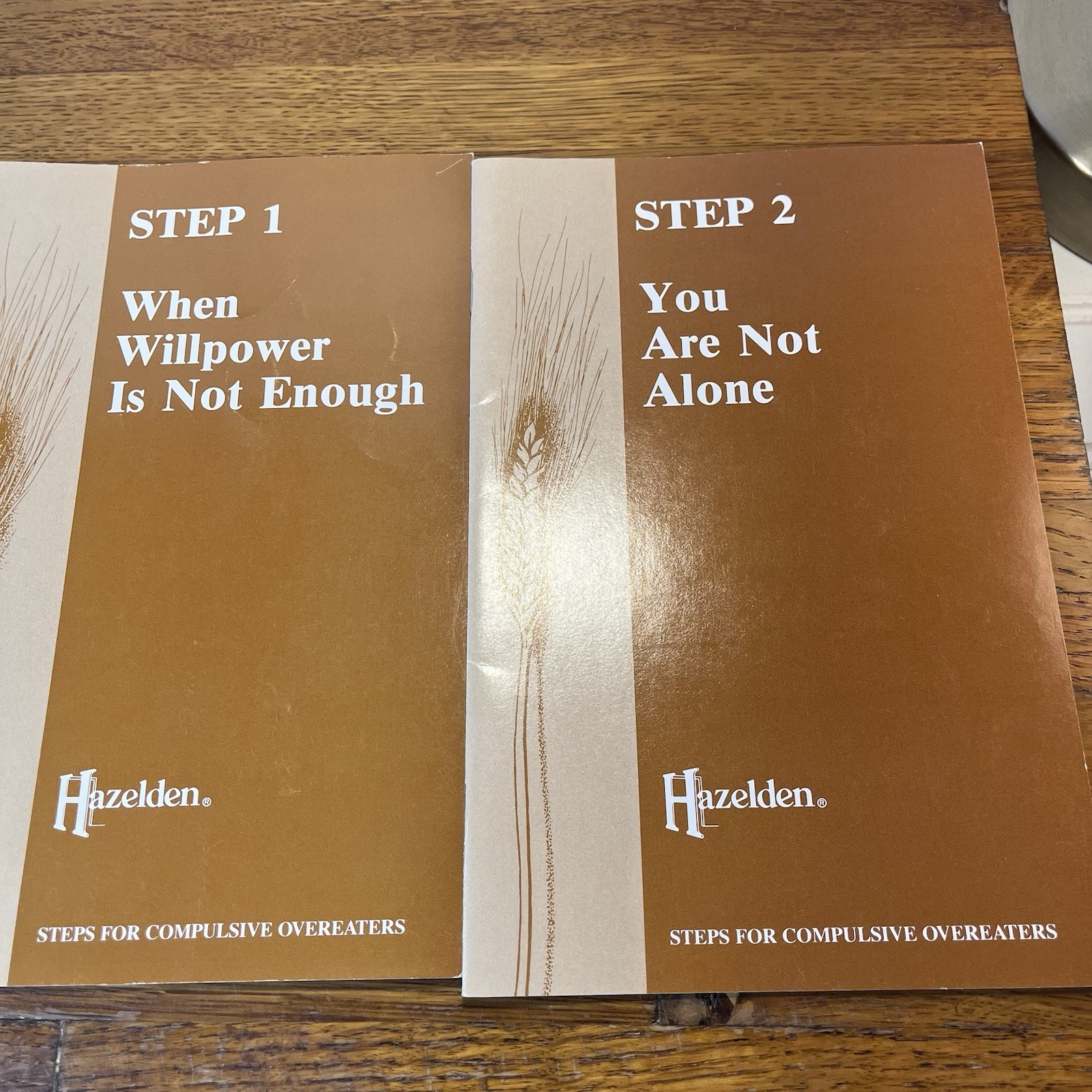Hazelden 12 Steps For Compulsive Overeaters Paperback Vintage Booklets