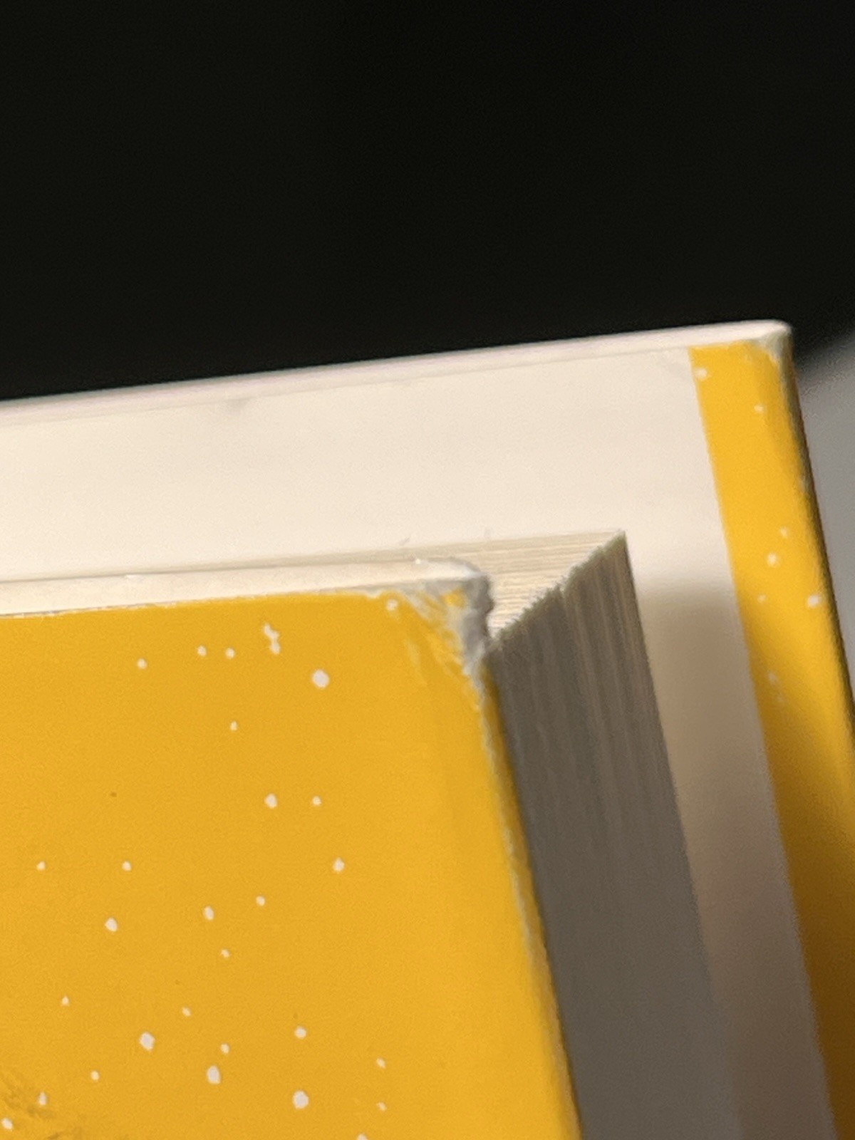 Lighter by Yung Pueblo – First Edition Hardcover w/ Dust Jacket