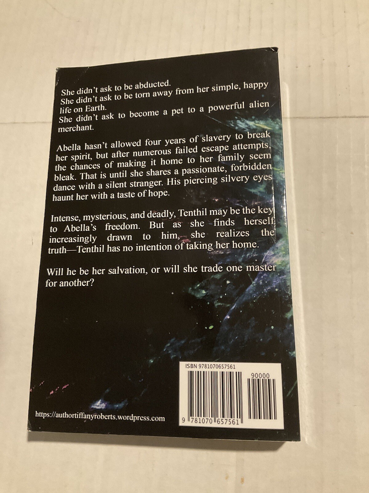 Silent Lucidity by Tiffany Roberts (2019, Trade Paperback)
