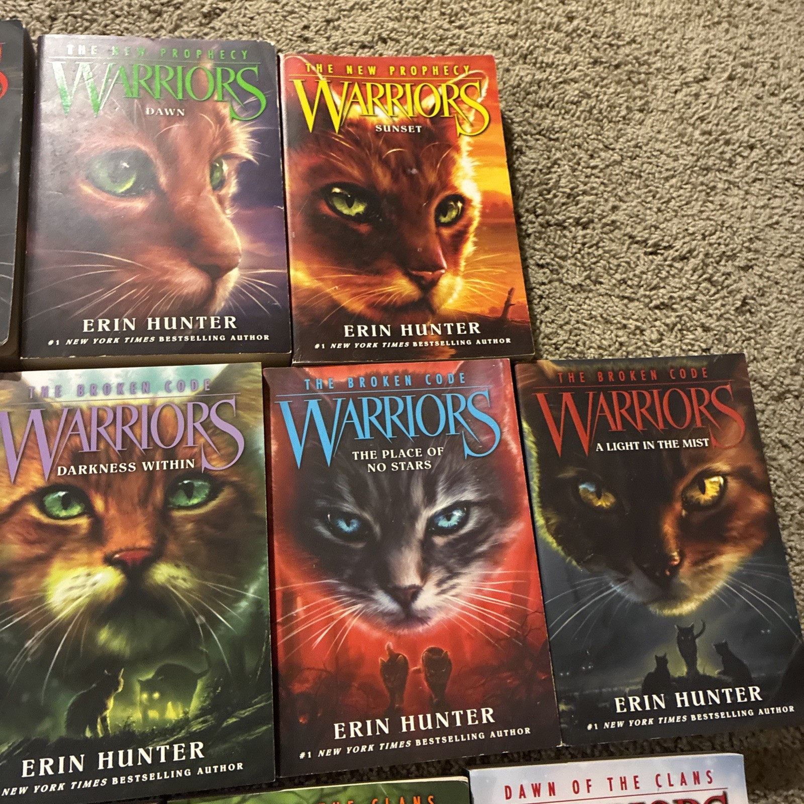 Lot of 21 Different WARRIORS Books by Erin Hunter ALL PAPERBACKS