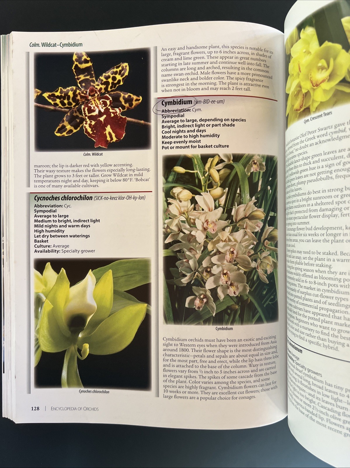 Orchids : Grow Beautiful Flowers with Confidence and Ease by Miracle-Gro…