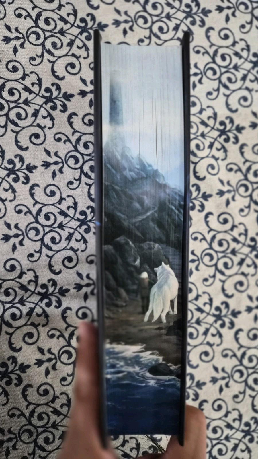 Waterstones Furybound Exclusive Signed Edition