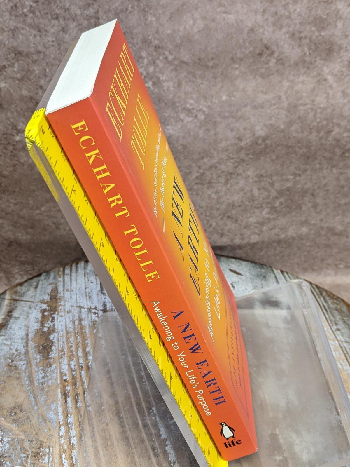 A New Earth: Awakening to Your Life’s Purpose by Eckhart Tolle Paperback Book