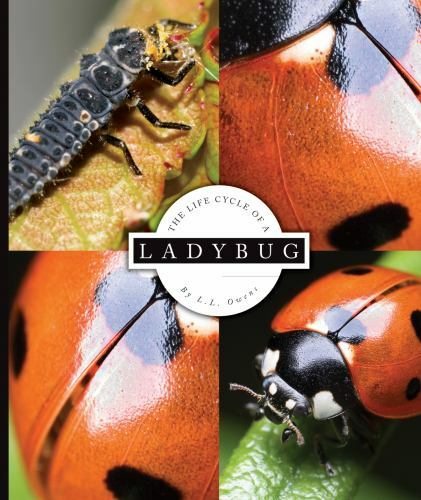 The Life Cycle of a Ladybug – 1609731891, library binding, L L Owens