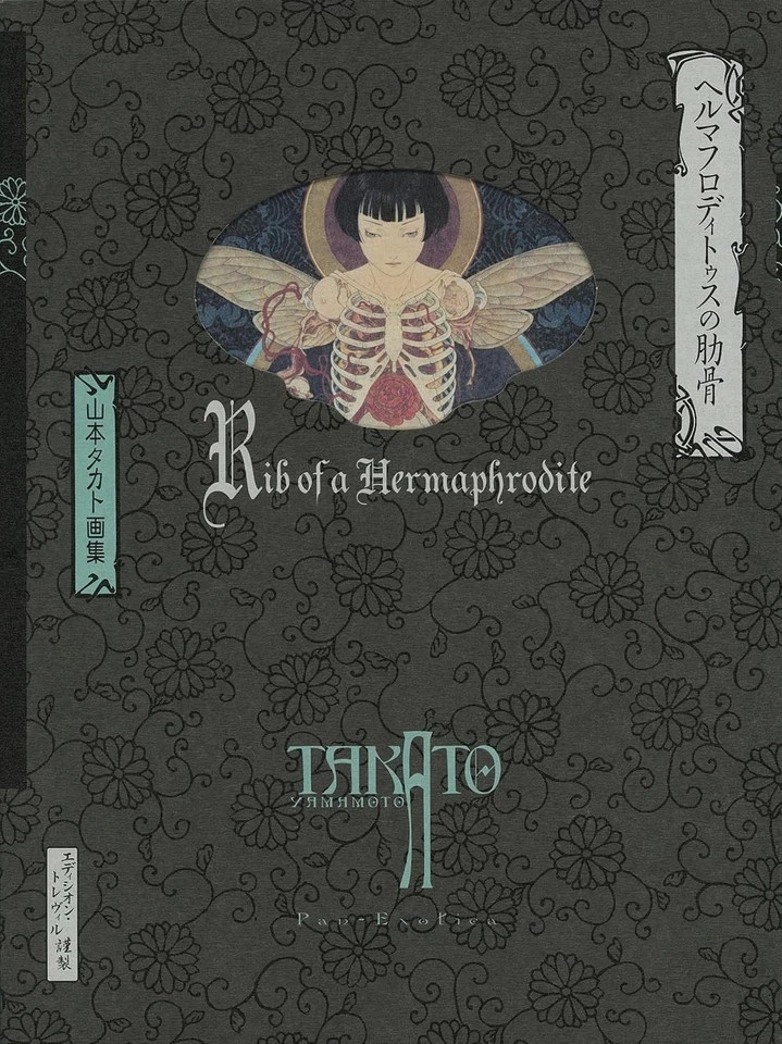 Takato Yamamoto Art Book 5 Set Pan Exotica Collection NEW Edition Japan