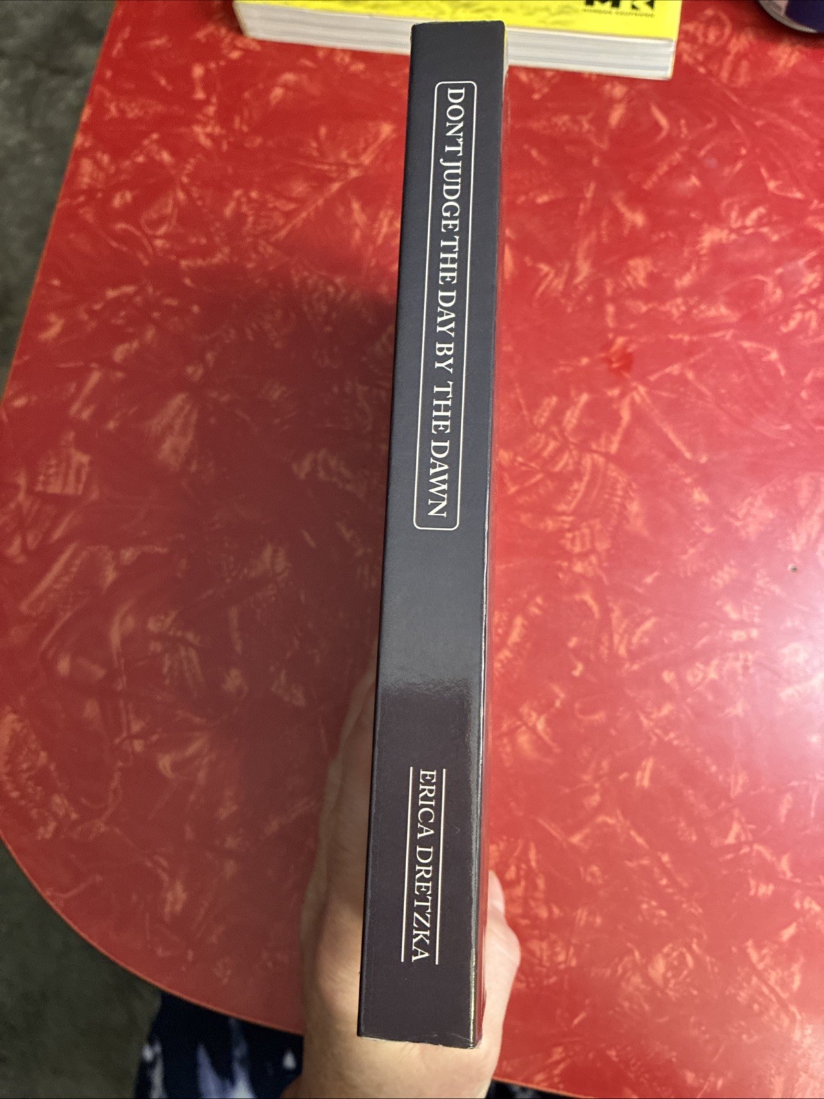 Don’t Judge the Day by the Dawn by Erica Dretzka 2020 Paperback Christian Faith
