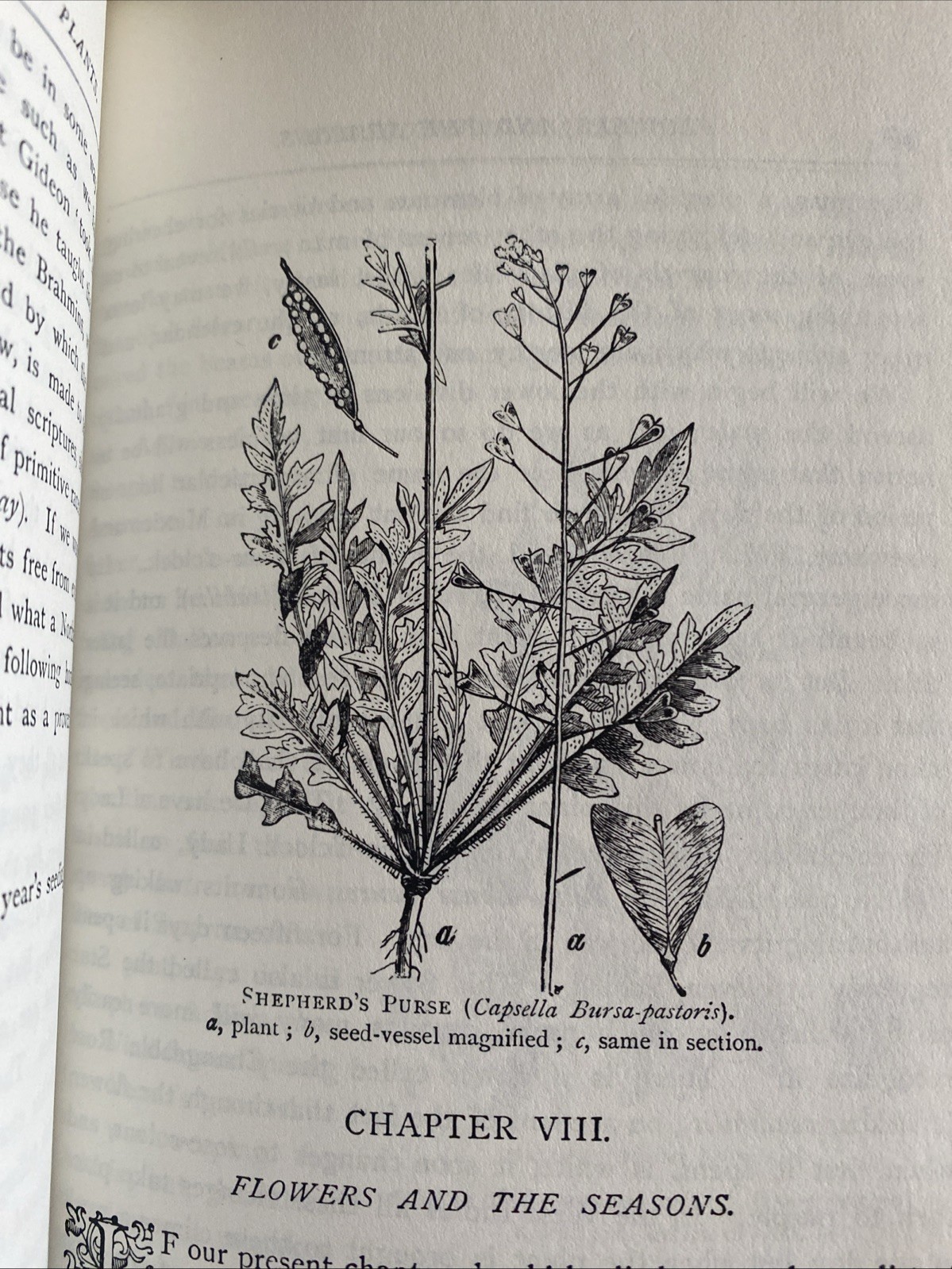 Flower Lore SC Hilderic Friend 1981 Pages 704 Nature Gardening