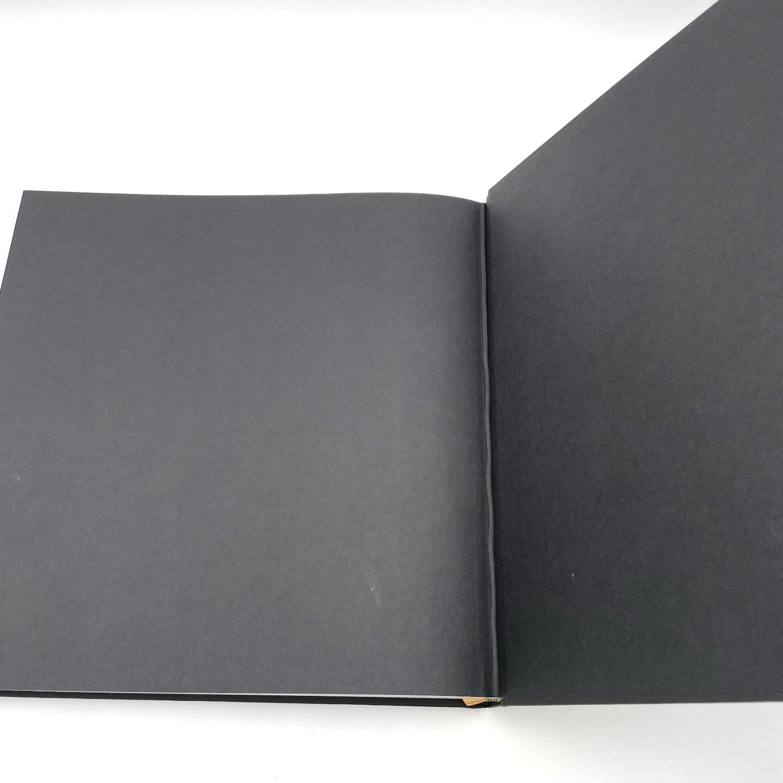 Twenty20 in Black by NAACP Staff 2021 Hardcover w/Slipcase VG