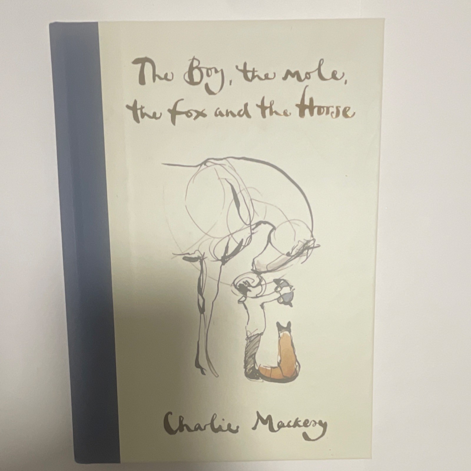 The Boy, the Mole, the Fox and the Horse Hardcover Illustrated Charlie Mackesy