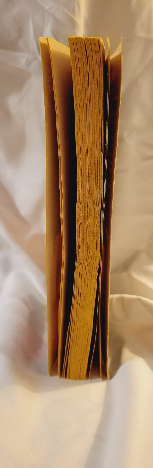 1976 Rocky Book By Julia Sorel 138 Pages