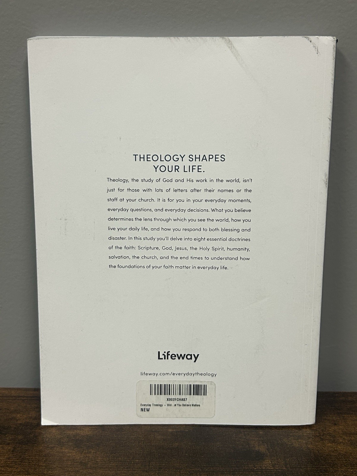 Everyday Theology – Bible Study Book : What You Believe Matters by Mary Wiley…