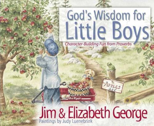 God’s Wisdom for Little Boys: Character-Building Fun from Proverbs – GOOD